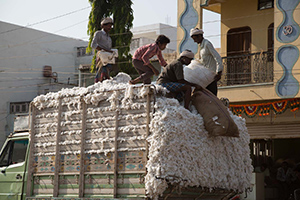 Image of men on a cotton truck in India